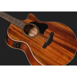 Ibanez AE140-OPN
