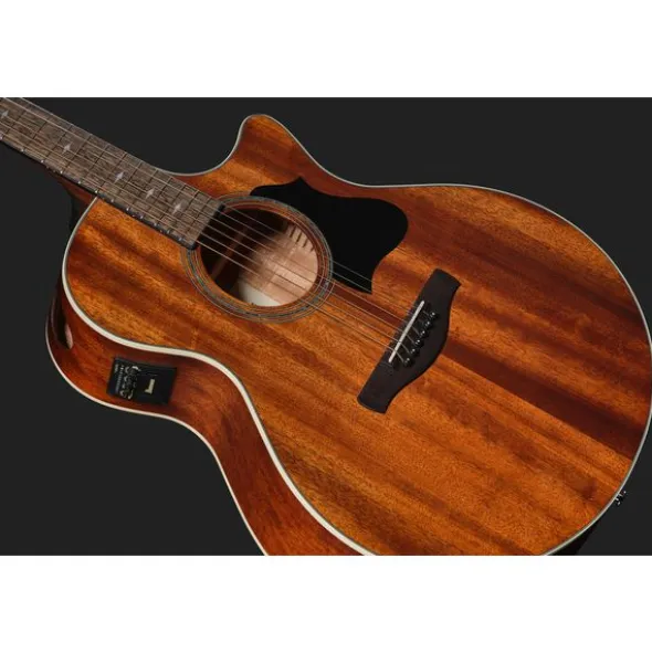 Ibanez AE140-OPN