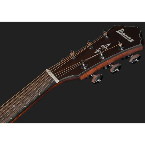 Ibanez AE140-OPN