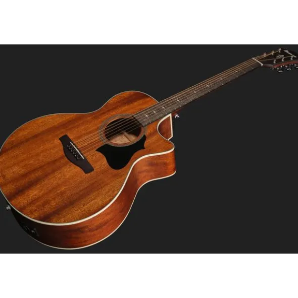 Ibanez AE140-OPN