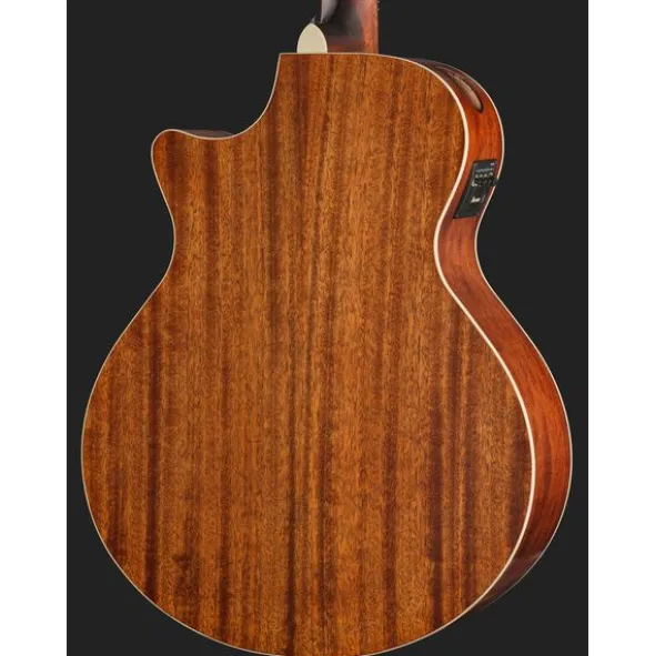 Ibanez AE140-OPN