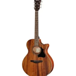 Ibanez AE140-OPN