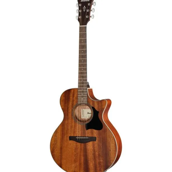 Ibanez AE140-OPN