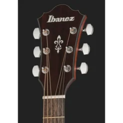 Ibanez AE140-OPN