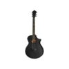 Ibanez AEWC621-BOT B-Stock