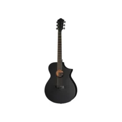 Ibanez AEWC621-BOT B-Stock