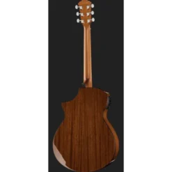 Ibanez AEWC11-DVS