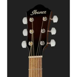 Ibanez AEWC11-DVS