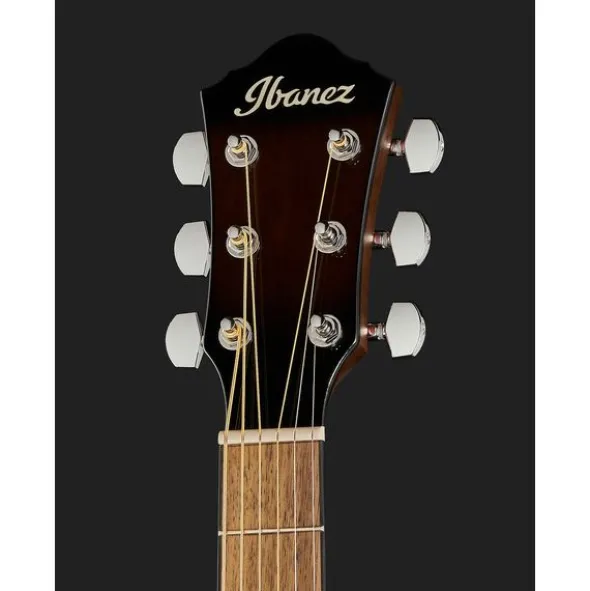Ibanez AEWC11-DVS