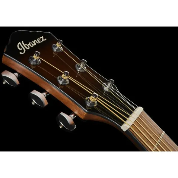Ibanez AEWC11-DVS