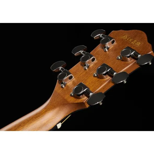 Ibanez AEWC11-DVS