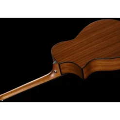 Ibanez AEWC11-DVS