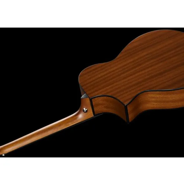 Ibanez AEWC11-DVS