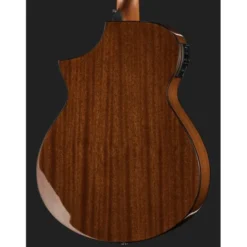 Ibanez AEWC11-DVS