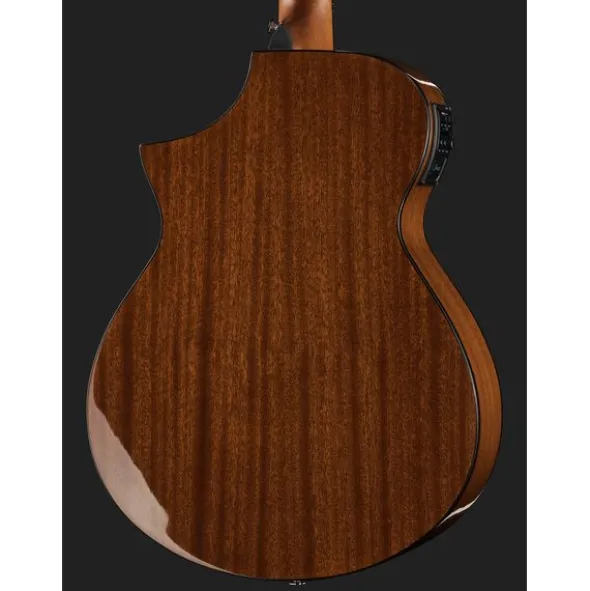 Ibanez AEWC11-DVS