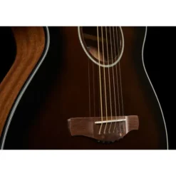 Ibanez AEWC11-DVS