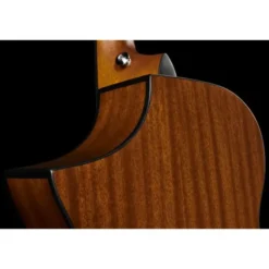 Ibanez AEWC11-DVS