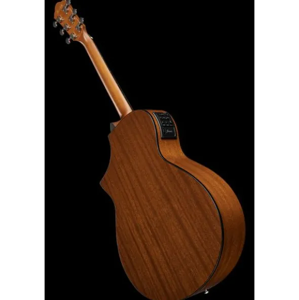 Ibanez AEWC11-DVS