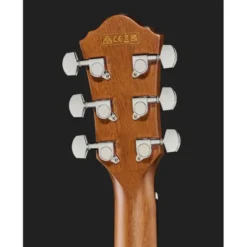 Ibanez AEWC11-DVS