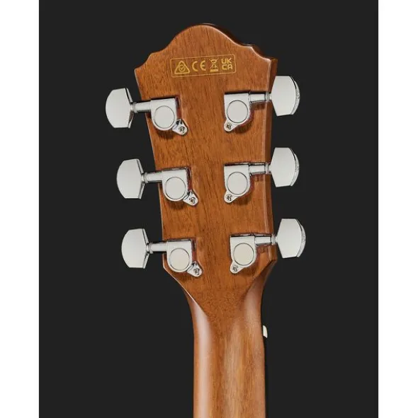 Ibanez AEWC11-DVS