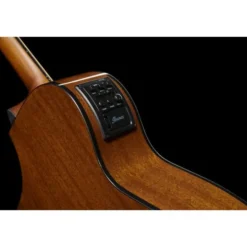 Ibanez AEWC11-DVS
