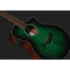 Ibanez AEWC16QA-TEH