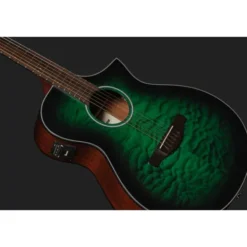 Ibanez AEWC16QA-TEH