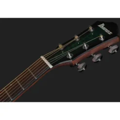 Ibanez AEWC16QA-TEH