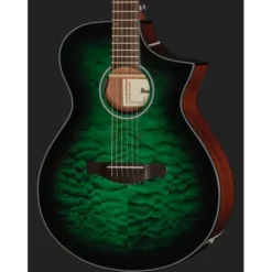 Ibanez AEWC16QA-TEH