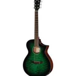 Ibanez AEWC16QA-TEH