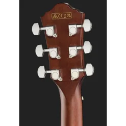 Ibanez AEWC16QA-TEH