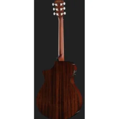 Ibanez AEWC16QA-TEH