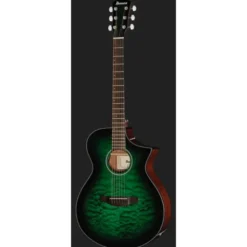 Ibanez AEWC16QA-TEH