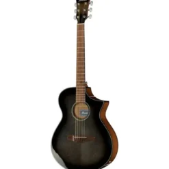 Ibanez AEWC11-TCB