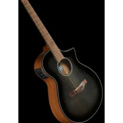 Ibanez AEWC11-TCB