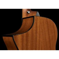 Ibanez AEWC11-TCB