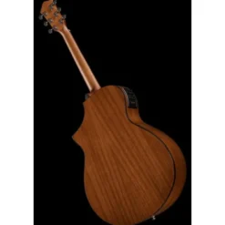Ibanez AEWC11-TCB