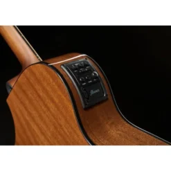 Ibanez AEWC11-TCB