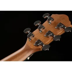 Ibanez AEWC11-TCB