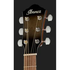 Ibanez AEWC11-TCB