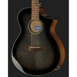 Ibanez AEWC11-TCB