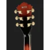 Ibanez AG95QA-DBS