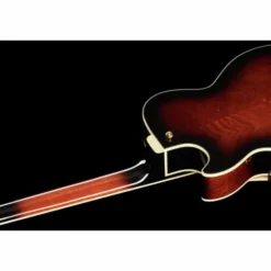 Ibanez AG95QA-DBS