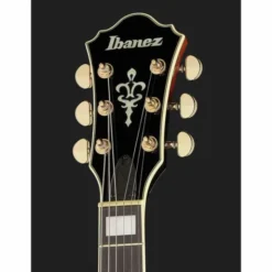 Ibanez AG95QA-DBS