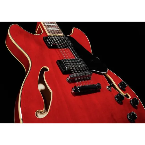 Ibanez AS7312-TCD