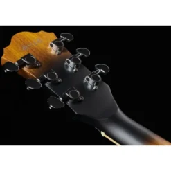 Ibanez AS53-TF