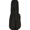 Ibanez AUC14-OVL