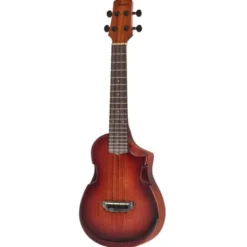 Ibanez AUC14-OVL