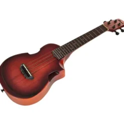 Ibanez AUC14-OVL