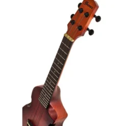 Ibanez AUC14-OVL